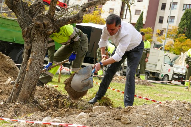 El Alcalde Serrano anuncia la plantación de cerca de 3.500 árboles durante 2023 - 2, Foto 2