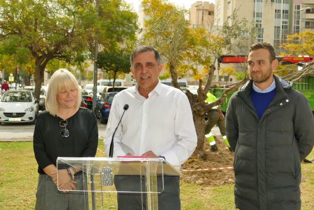 El Alcalde Serrano anuncia la plantación de cerca de 3.500 árboles durante 2023 - 3, Foto 3