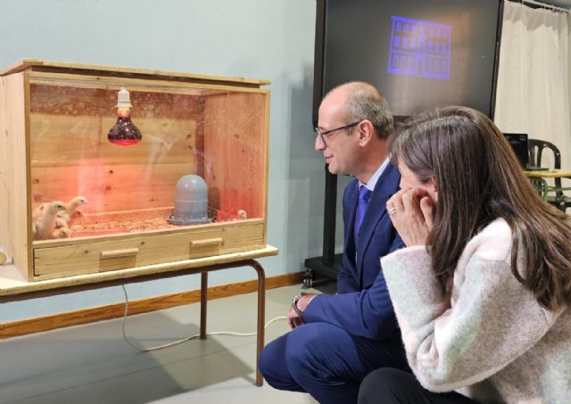 El CEIP Nuestra Señora del Carmen trabaja con sus alumnos para recuperar la gallina murciana - 1, Foto 1