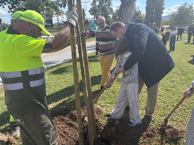 El Plan Foresta supera los 36.600 árboles plantados con una nueva actuación en Espinardo - 2, Foto 2