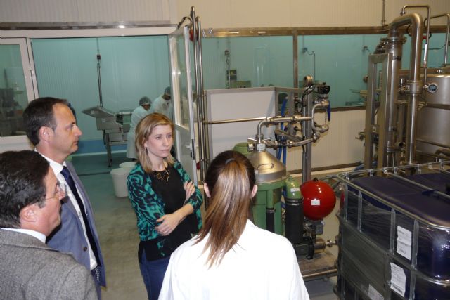 El Centro Tecnológico Nacional de la Conserva y Alimentación celebra en Molina de Segura una jornada sobre ayudas para reindustrialización - 3, Foto 3