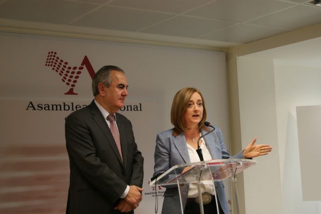 El PSOE saca adelante en la Asamblea la puesta en funcionamiento de los Consejos de Salud de Área y zona sanitaria - 1, Foto 1