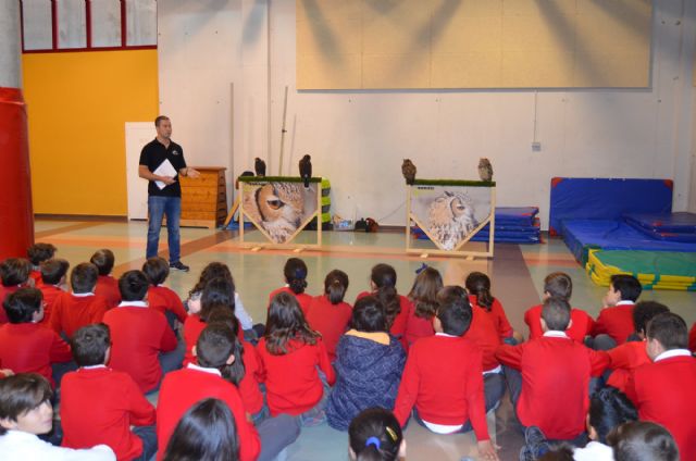 Medio Ambiente lleva las aves rapaces a los alumnos del colegio Sagrado Corazón - 1, Foto 1