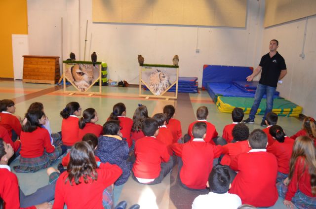 Medio Ambiente lleva las aves rapaces a los alumnos del colegio Sagrado Corazón - 2, Foto 2