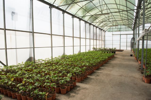 Técnicos  y agricultores analizan las posibilidades que ofrecen los cultivos subtropicales - 3, Foto 3