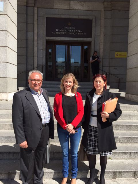 La Alcaldesa de Molina de Segura solicita al Ministerio de Medio Ambiente el inicio de las obras de defensa frente a avenidas - 1, Foto 1