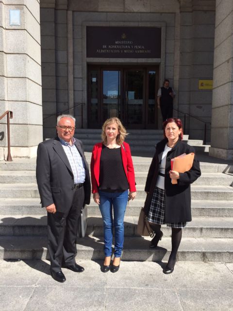 La Alcaldesa de Molina de Segura solicita al Ministerio de Medio Ambiente el inicio de las obras de defensa frente a avenidas - 2, Foto 2