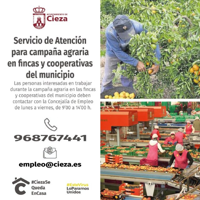 Elaboran una bolsa de trabajo para salvar la campaña de fruta - 1, Foto 1