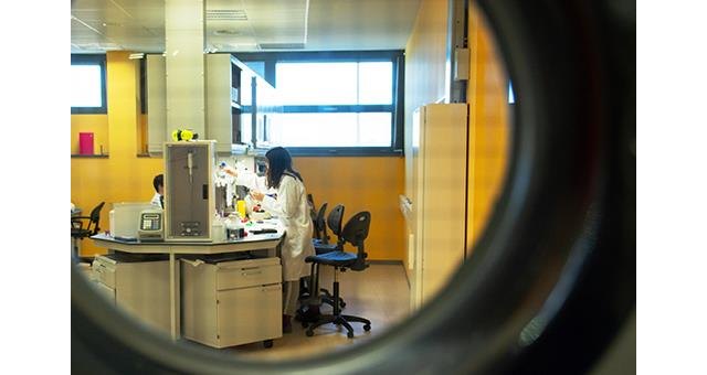 El Instituto de Salud Carlos III financia seis nuevos ensayos para mejorar la prevención, diagnóstico y tratamiento del COVID-19 - 1, Foto 1