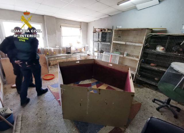 La Guardia Civil desmantela en Cartagena un tentadero ilegal dedicado a peleas de gallos - 3, Foto 3