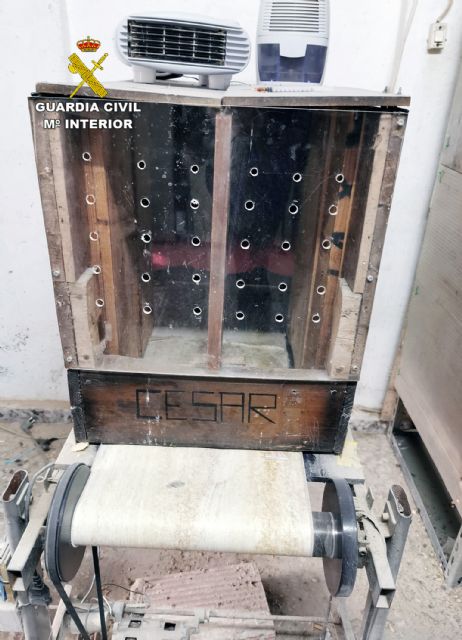 La Guardia Civil desmantela en Cartagena un tentadero ilegal dedicado a peleas de gallos - 5, Foto 5