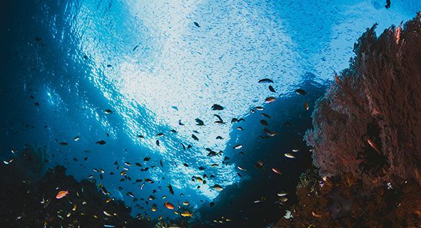 5 destinos imprescindibles para bucear en Semana Santa - 3, Foto 3