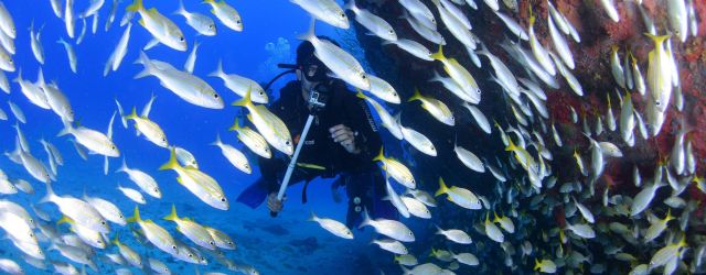 5 destinos imprescindibles para bucear en Semana Santa - 4, Foto 4