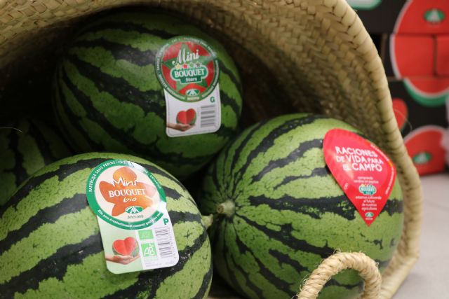 Anecoop celebra los 30 años de la sandía que cambió el consumo en Europa - 2, Foto 2