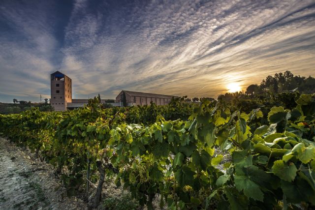 Juvé & Camps consigue el distintivo de “Elaborador Integral”, el mayor reconocimiento de la D.O. Cava - 1, Foto 1