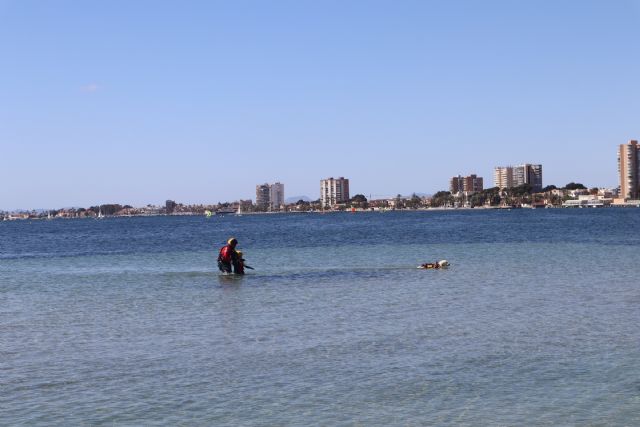 San Pedro del Pinatar ofrece al visitante un amplio programa de actividades hasta el próximo domingo - 3, Foto 3