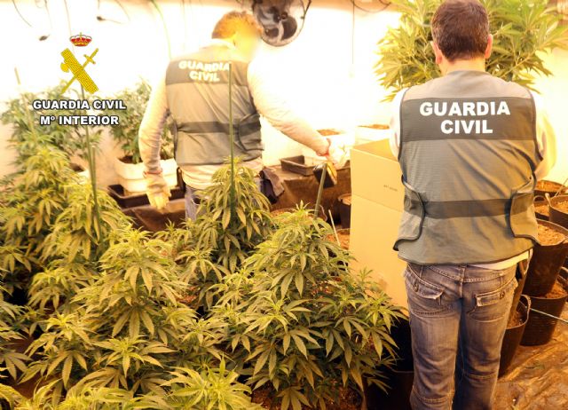 La Guardia Civil desmantela en Murcia un activo punto de producción de marihuana - 2, Foto 2