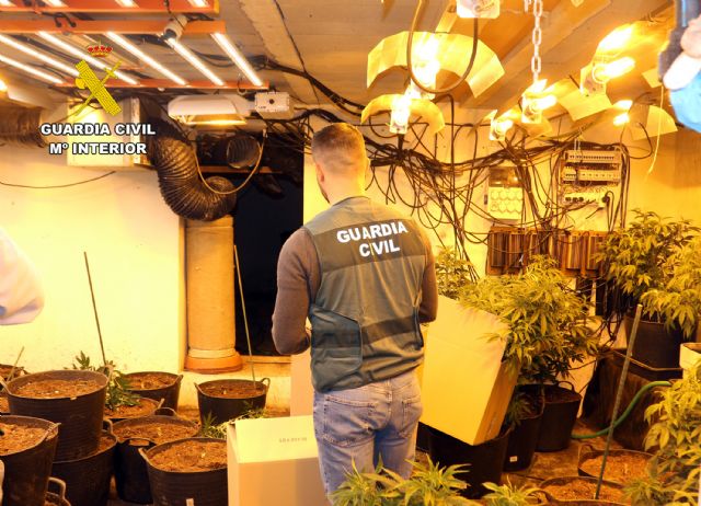 La Guardia Civil desmantela en Murcia un activo punto de producción de marihuana - 3, Foto 3