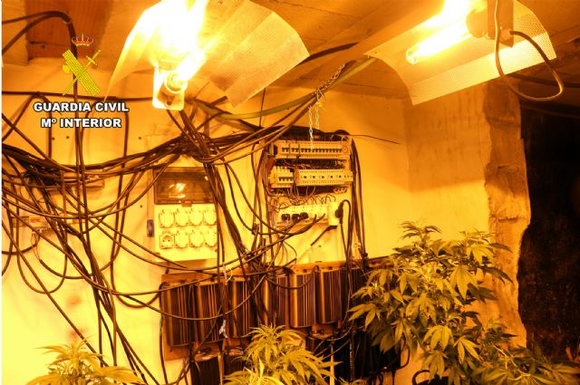 La Guardia Civil desmantela en Murcia un activo punto de producción de marihuana - 4, Foto 4