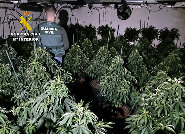 La Guardia Civil desmantela en Murcia un activo punto de producción de marihuana - 5, Foto 5