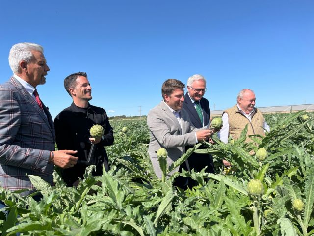Las exportaciones de alcachofas en fresco de la Región de Murcia crecen en 2024 un ocho por ciento - 1, Foto 1