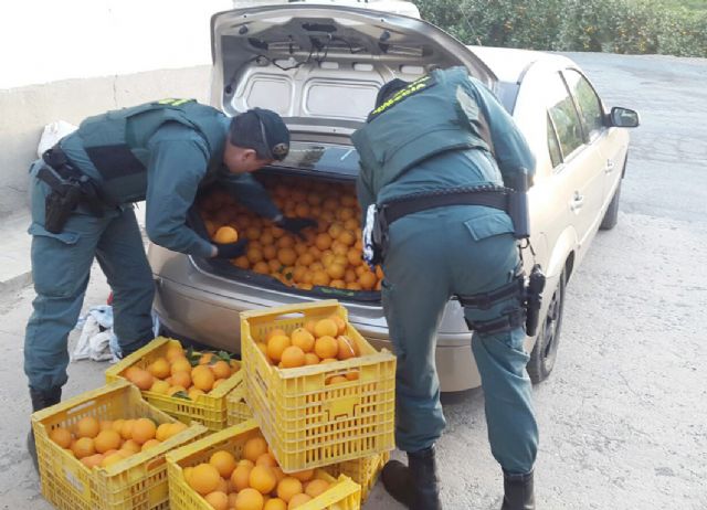 La Guardia Civil detiene in fraganti a cuatro personas con más de dos toneladas de naranjas en Almendricos-Lorca - 2, Foto 2