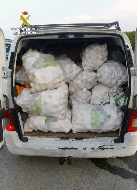 La Guardia Civil detiene in fraganti a cuatro personas con más de dos toneladas de naranjas en Almendricos-Lorca - 3, Foto 3