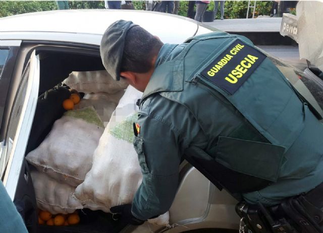 La Guardia Civil detiene in fraganti a cuatro personas con más de dos toneladas de naranjas en Almendricos-Lorca - 5, Foto 5