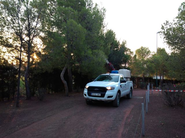 Lorca inicia labores de fumigación - 2, Foto 2