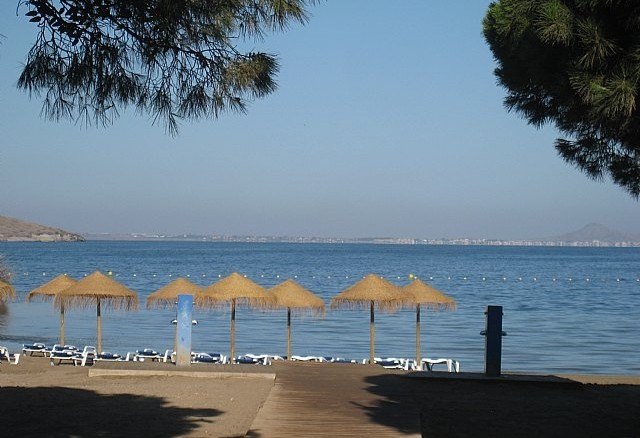 Investigadores del CSIC explican las vías de transmisión del SARS-CoV-2 en playas y piscinas - 1, Foto 1