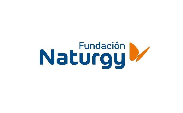 Fundación Naturgy retoma las sesiones de la Escuela de Energía con webinars para profesionales de los Servicios Sociales - 1, Foto 1