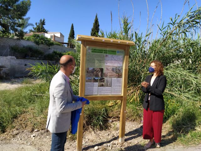 El alumnado del CEIP Tierno Galván de Molina de Segura crea dos senderos naturales en la Rambla de Las Canteras - 1, Foto 1