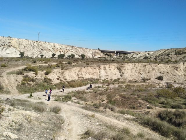 El alumnado del CEIP Tierno Galván de Molina de Segura crea dos senderos naturales en la Rambla de Las Canteras - 5, Foto 5