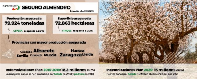 El almendro gana peso dentro del seguro agrario: la producción asegurada crece un 278% en cinco años - 1, Foto 1