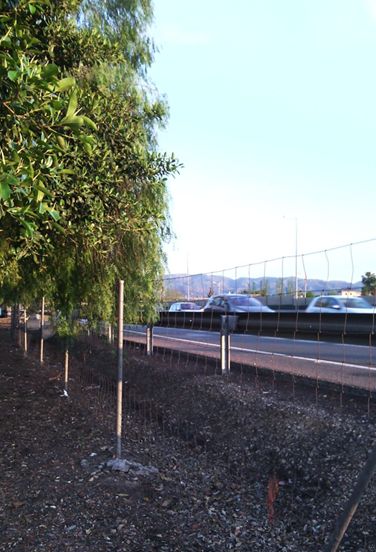 PODEMOS Arco Norte denuncia que El Ranero continúa sin vallas antirruido - 1, Foto 1