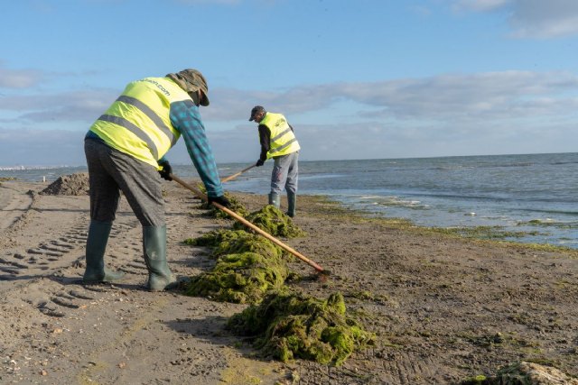 Litoral refuerza el mantenimiento en las zonas de costa desde este fin de semana - 1, Foto 1