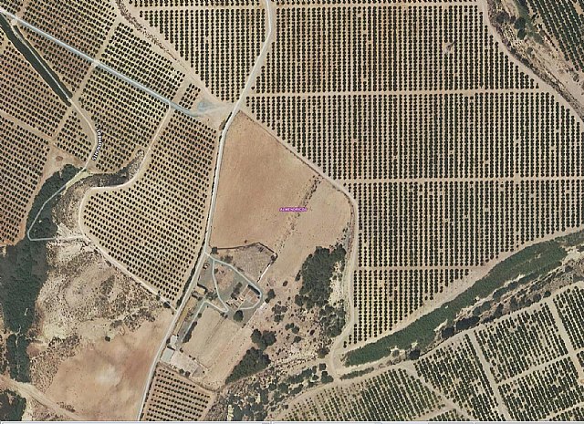 Fallece un trabajador tras volcar el camión con el que estaba trabajando en Almendricos - 1, Foto 1