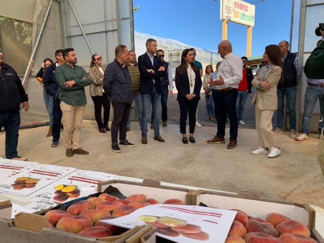 La Región de Murcia impulsa 23 nuevas variedades de fruta de hueso que se comercializarán esta campaña - 1, Foto 1