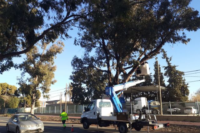 El Ayuntamiento mejora la seguridad en la carretera entre Santa Ana y El Albujón con la poda de árboles de gran porte - 1, Foto 1