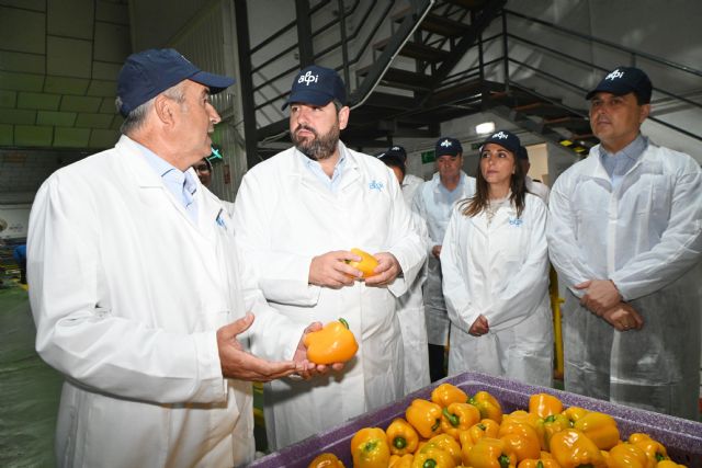 Las Organizaciones de Productores de Frutas y Hortalizas reciben este año 89,7 millones para mejorar su competitividad - 1, Foto 1
