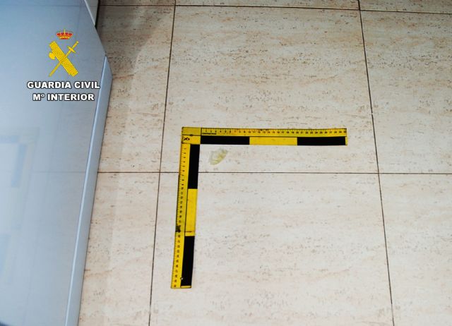 La Guardia Civil detiene a uno de los individuos que asaltó a una anciana en su domicilio de San Javier hace cinco años - 3, Foto 3