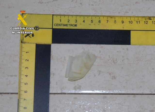 La Guardia Civil detiene a uno de los individuos que asaltó a una anciana en su domicilio de San Javier hace cinco años - 4, Foto 4