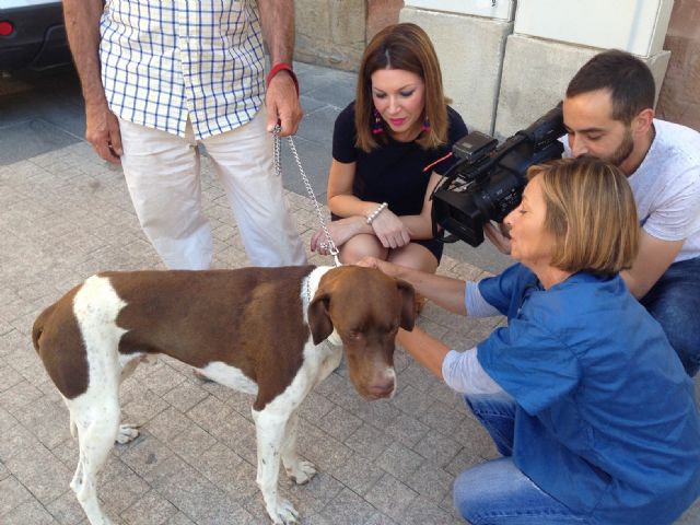 Inician el viernes la Campaña Oficial de Vacunación contra la rabia en las pedanías del término municipal - 1, Foto 1