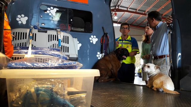 Lorca se une a un servicio pionero y gratuito de recogida y cuidado de mascotas - 1, Foto 1
