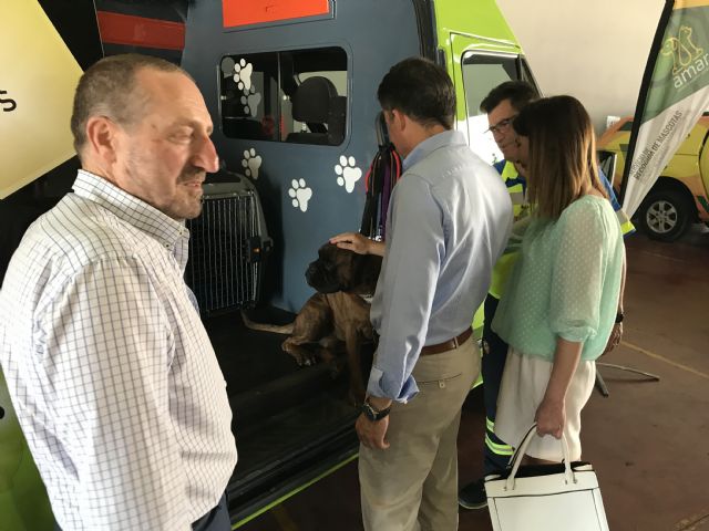 Lorca se une a un servicio pionero y gratuito de recogida y cuidado de mascotas - 4, Foto 4