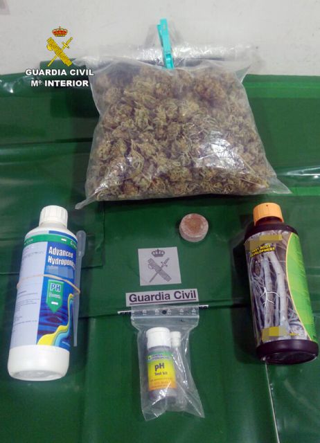 La Guardia Civil detiene a un conductor con 173 gramos de marihuana - 1, Foto 1