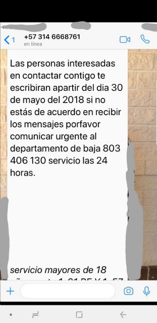 La Policía Municipal de Torre Pacheco advierte de un bulo de mensajes de WhatsApp - 3, Foto 3