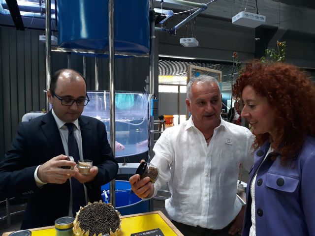 La Comunidad muestra los avances en sostenibilidad de la tecnología agrícola regional en una jornada nacional de innovación - 2, Foto 2