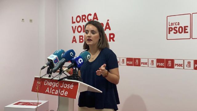 El PSOE exige al Gobierno Regional que cumpla su palabra e instale las zonas de sombra prometidas en colegios públicos de Lorca - 1, Foto 1