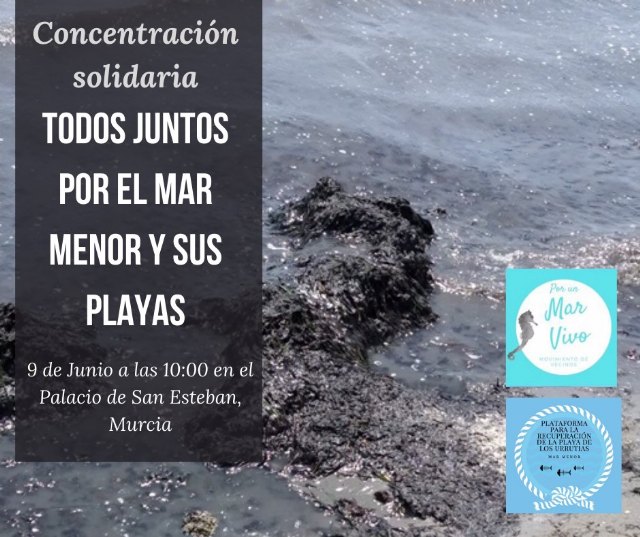 La Plataforma para La Recuperación De La Playa de Los Urrutias y Su Entorno y Por un Mar Vivo convocan una concentración - 3, Foto 3